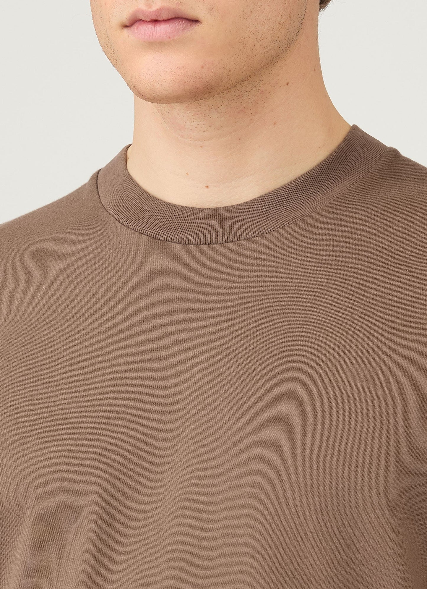 Mens Relaxed Fit Heavyweight Tshirt In Bark Mtsh0181 Brgc