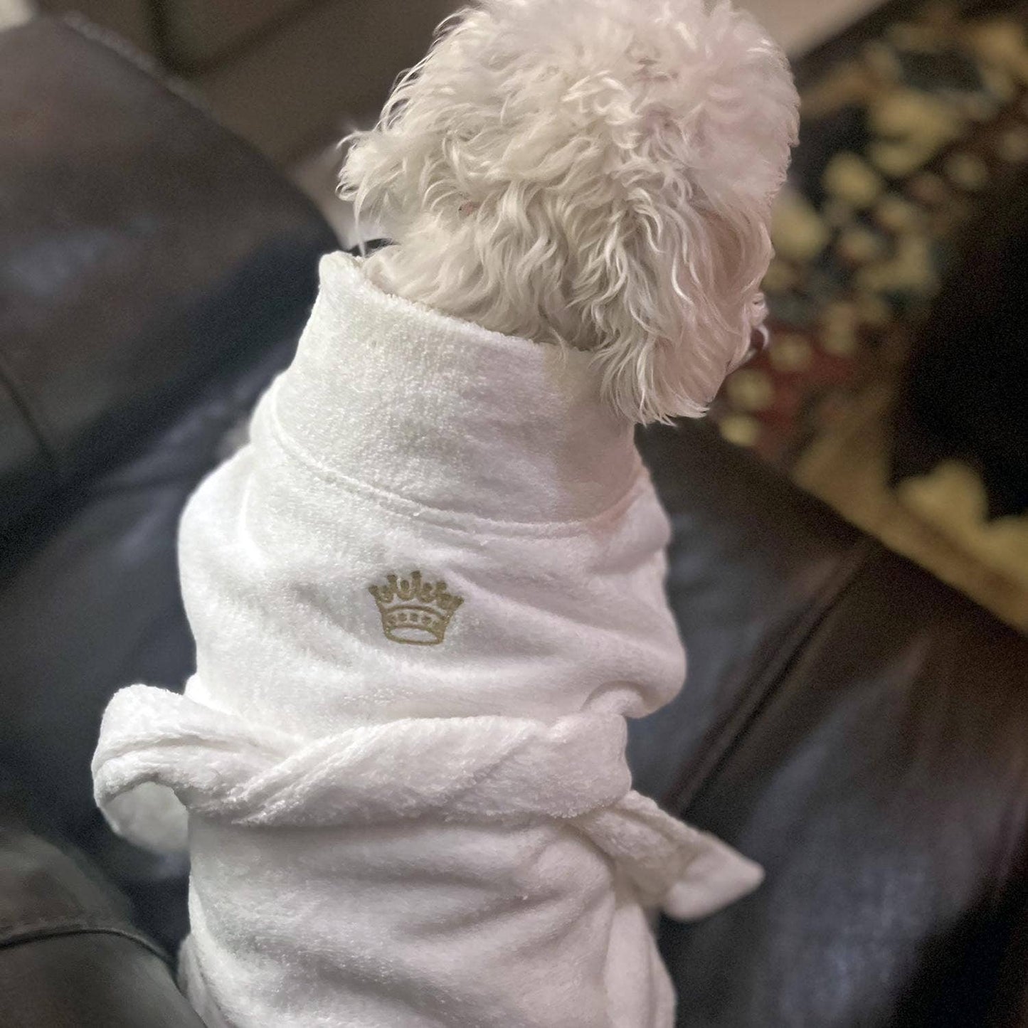 Doggie Design - White Gold Crown Cotton Dog Bathrobe by Doggie Design