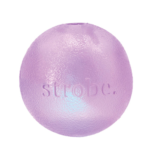 Planet Dog Orbee-Tuff Strobe Ball Light Up LED Purple
