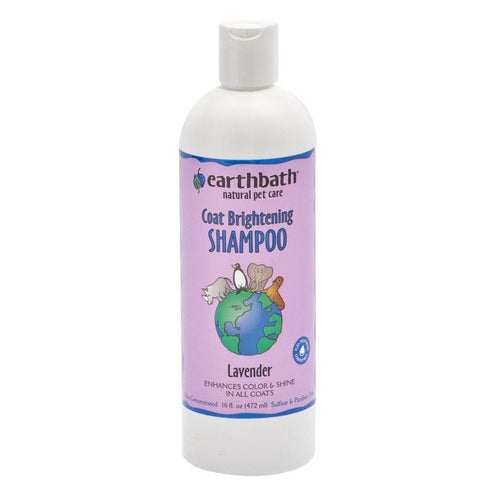 Earthbath Coat Brightening Shampoo