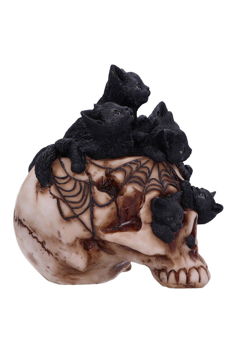Cranial Litter Sculpture