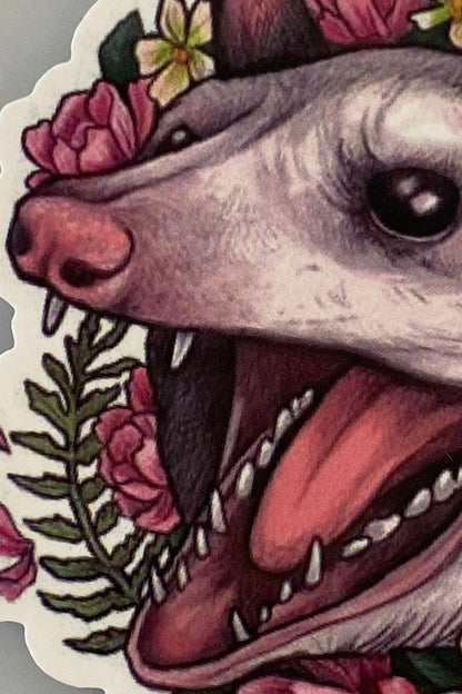 Blossom Possum Sticker